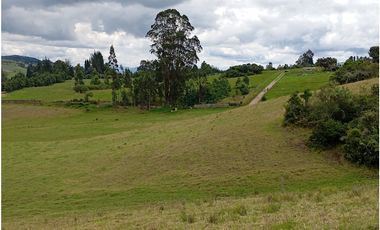 FINCA SE VENDE SOTAQUIR BOYAC