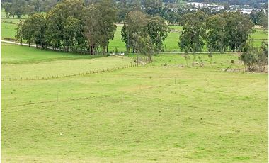 FINCA SE VENDE SOTAQUIR BOYAC
