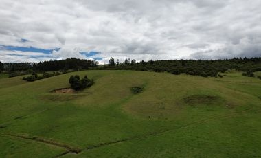 FINCA SE VENDE SOTAQUIR BOYAC