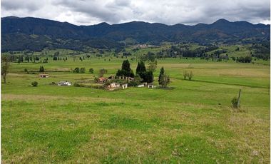 FINCA SE VENDE SOTAQUIR BOYAC