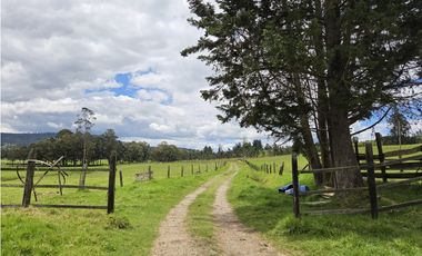 FINCA SE VENDE SOTAQUIR BOYAC