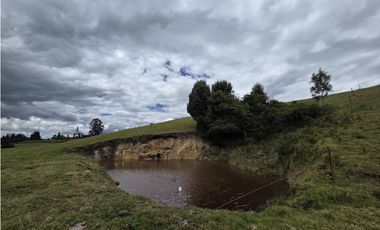 FINCA SE VENDE SOTAQUIR BOYAC