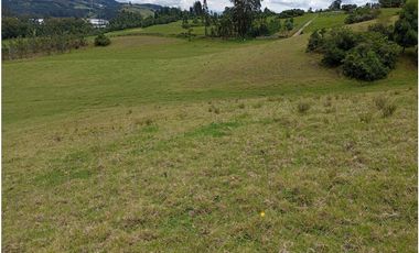 FINCA SE VENDE SOTAQUIR BOYAC