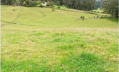 FINCA SE VENDE SOTAQUIR BOYAC