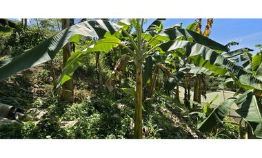 VENDO FINCA EN SANTA BARBARA ANTIOQUIA