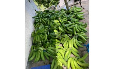 VENDO FINCA EN SANTA BARBARA ANTIOQUIA