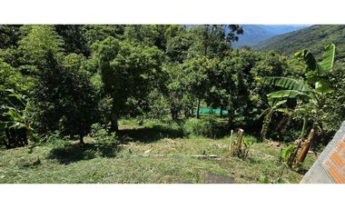 VENDO FINCA EN SANTA BARBARA ANTIOQUIA