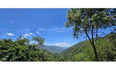 VENDO FINCA EN SANTA BARBARA ANTIOQUIA