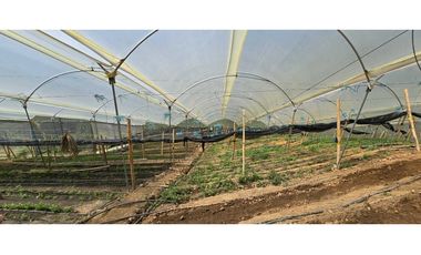 VENDO FINCA EN SANTA BARBARA ANTIOQUIA