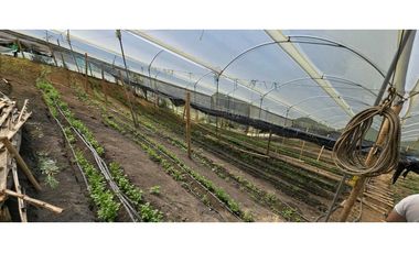 VENDO FINCA EN SANTA BARBARA ANTIOQUIA