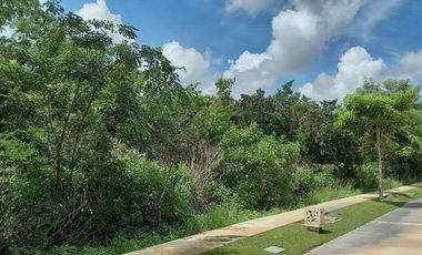 Terreno en venta, Oasis, Yucatan Country Club