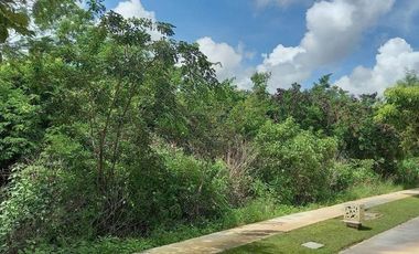 Terreno en venta, Oasis, Yucatan Country Club