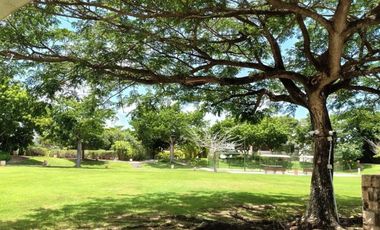 Terreno - Yucatán Country Club