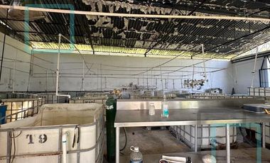 RANCHO EN VENTA EN VILLA JUAREZ ZONA CARRETERA NACIONAL SANTIAGO