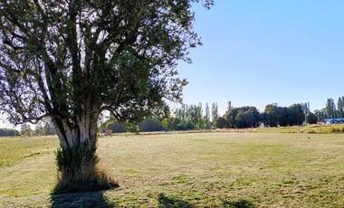 Parcela en venta en OSORNO