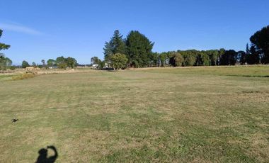 Parcela en venta en OSORNO