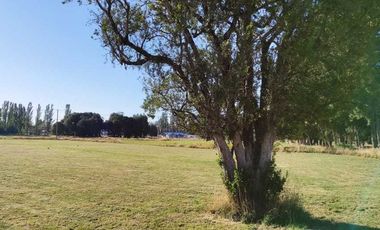 Parcela en venta en OSORNO