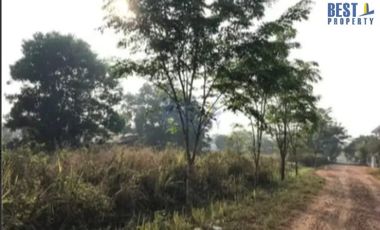 Dijual Tanah di Jati asih Bekasi kavling pati TNI AU luas 1000m2 SHM