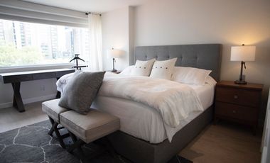 Totalmente Amueblado en Campos Eliseos