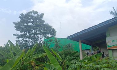 Dijual Cepat Tanah Papanggo Jl Sunan Kalijaga Lebak