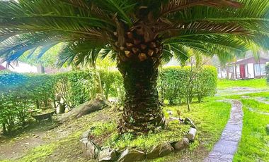 VENDO PARCELA EN CHIVILINGO LOTA