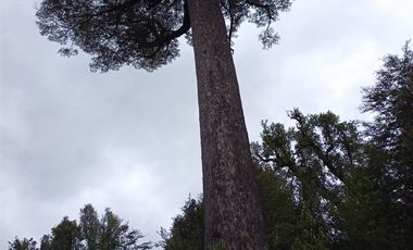 Sitio en Venta en trafampulli