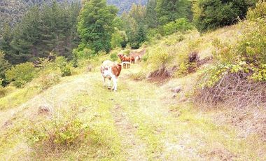 Sitio en Venta en trafampulli