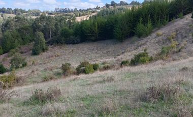 VENTA PARCELA 15500MTS Carahue