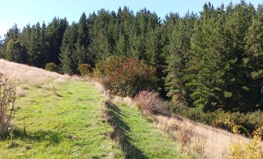 VENTA PARCELA 15500MTS Carahue