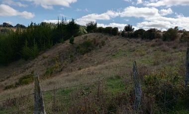VENTA PARCELA 15500MTS Carahue