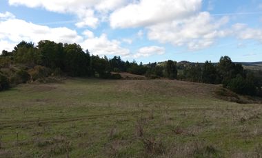 VENTA PARCELA 15500MTS Carahue