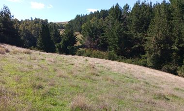 VENTA PARCELA 15500MTS Carahue