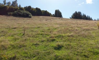 VENTA PARCELA 15500MTS Carahue