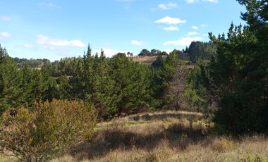 VENTA PARCELA 15500MTS Carahue