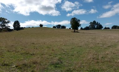 VENTA PARCELA 15500MTS Carahue
