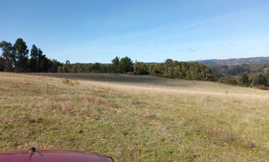 VENTA PARCELA 15500MTS Carahue
