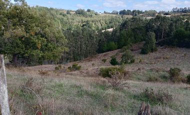 VENTA PARCELA 15500MTS Carahue