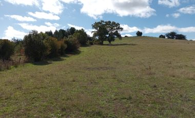 VENTA PARCELA 15500MTS Carahue