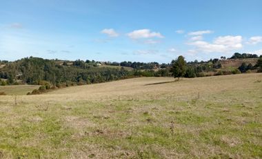 VENTA PARCELA 15500MTS Carahue