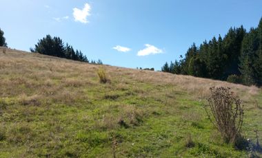 VENTA PARCELA 15500MTS Carahue