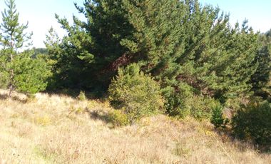 VENTA PARCELA 15500MTS Carahue