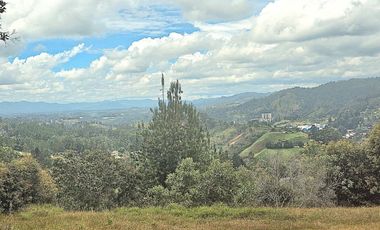 Terreno en Venta Ubicado en Guarne Codigo 2118