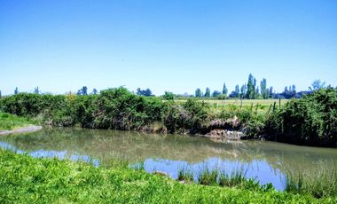 PARCELA DE 5000 M2 A SOLO MINUTOS DE CHILLÁN