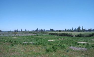PARCELA DE 5000 M2 A SOLO MINUTOS DE CHILLÁN