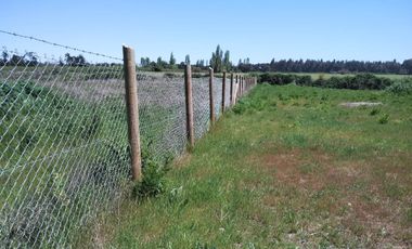 PARCELA DE 5000 M2 A SOLO MINUTOS DE CHILLÁN