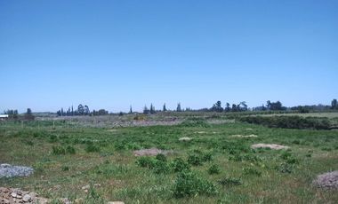 PARCELA DE 5000 M2 A SOLO MINUTOS DE CHILLÁN