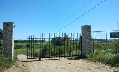 PARCELA DE 5000 M2 A SOLO MINUTOS DE CHILLÁN