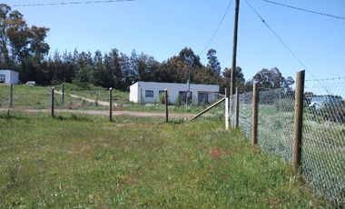 PARCELA DE 5000 M2 A SOLO MINUTOS DE CHILLÁN