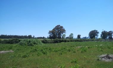 PARCELA DE 5000 M2 A SOLO MINUTOS DE CHILLÁN