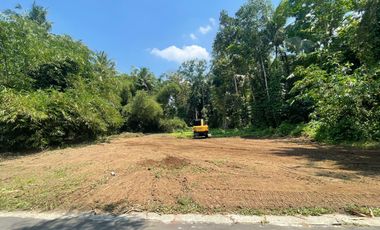 PASTI UNTUNG! Tanah Area Pemda Harga Hemat